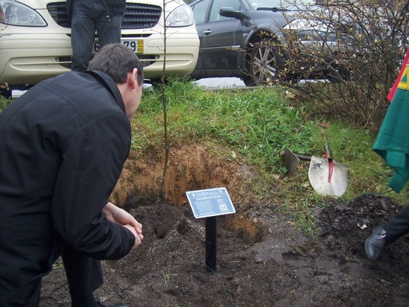 Carvalho de Calvos na UTAD 1