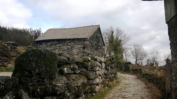 12421416_1242983512398377_998351902_n