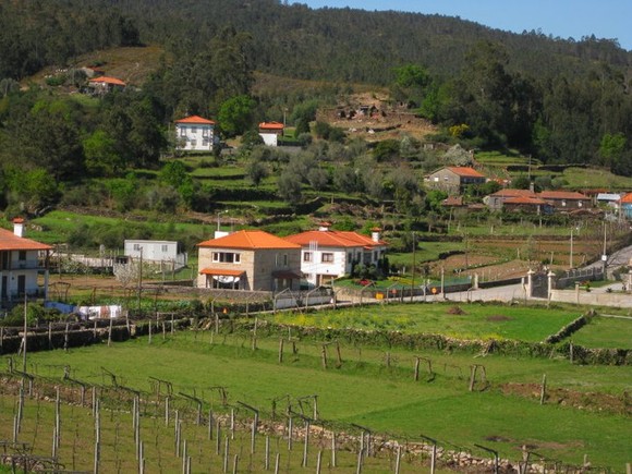 196256_1470519422012_1804417102_841764_707654_n