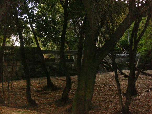 BL-Jardimestrela-RMouro 025