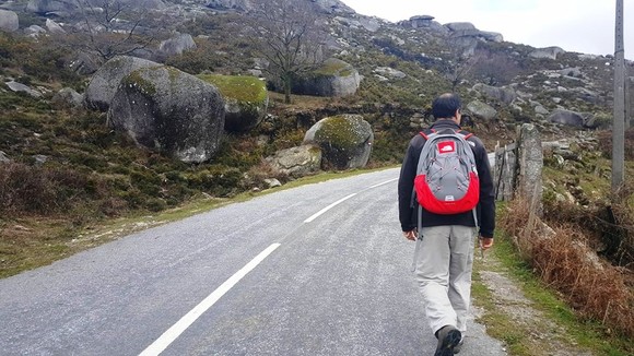 12527940_1242984759064919_1592885351_n