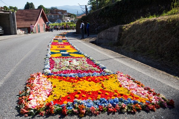 tapetes-004 - Cópia