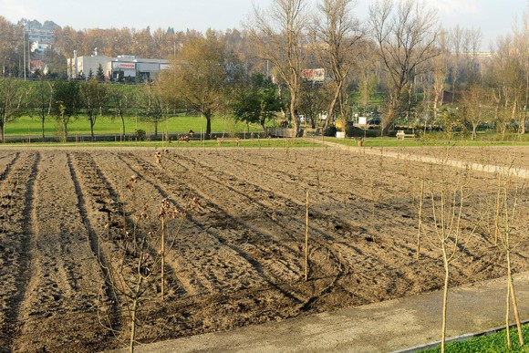 Guimaraes_Pomar_Macazinhas