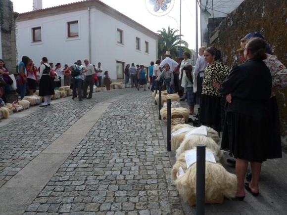 488361_452701164774942_54367319_n