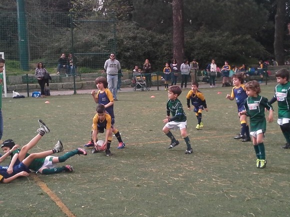 escalões de formação(1)