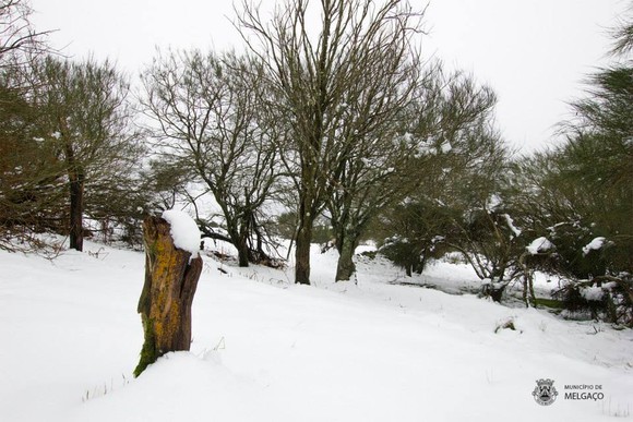 482510_648471285218876_1269708888_n