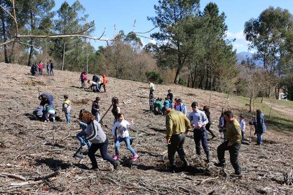 dia_internacioal_florestas_2016_4