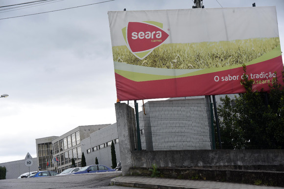 A seara prepara-se para crescer ainda mais