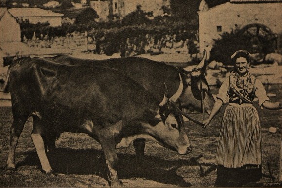 BrancoeNegroN70aN74_0063_branca_t0