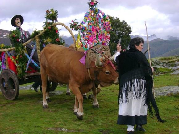 1897954_605836276169090_538323872_n