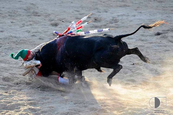 996865_428694350572776_102867928_n