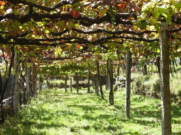 387165_2307010400033_1392483134_32334694_109037963