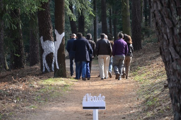 Visita à exposição ‘Floresta com Arte’ (2)