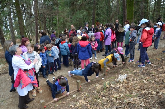 Visita à exposição ‘Floresta com Arte’ (1)