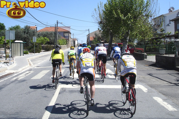 cavaca 19