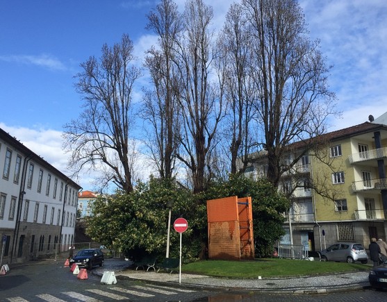 Guimaraes_Arvores_Largo_Conde_Arnoso