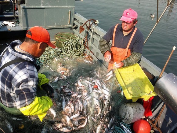 702024_584453128284427_1345655990_n