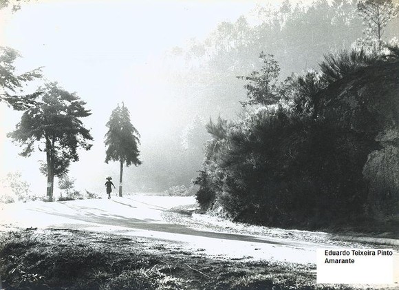 14 - Na curva da estrada