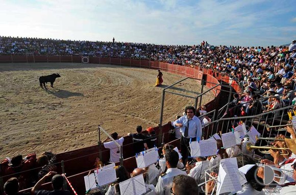 603336_428694193906125_961797628_n