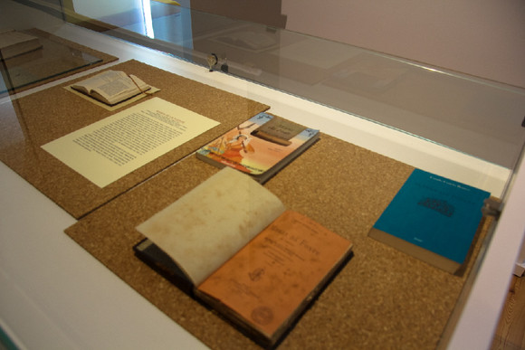 0 - Camilo e a Povoa de Lanhoso (6)