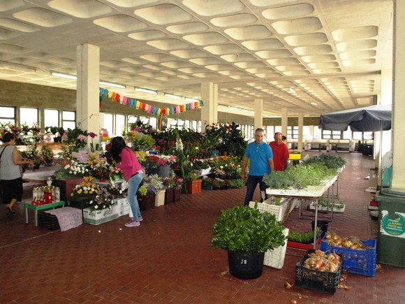 mercado_municipal (1)