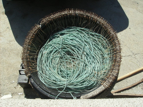 Vila Praia de Âncora - Jul2010 (13)