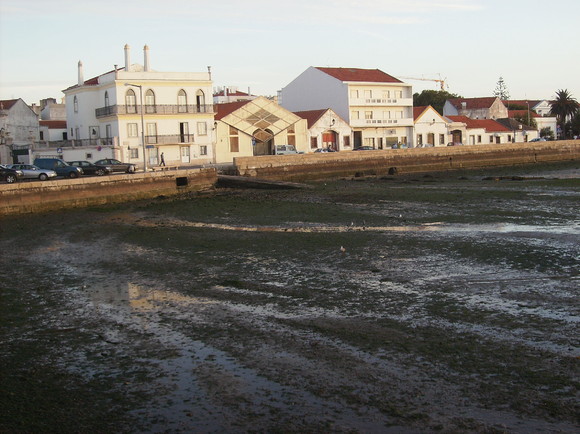 Alcochete - Pôr do Sol (10)