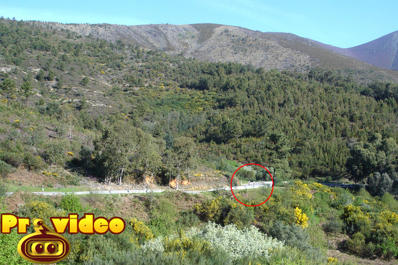 cavaca 7