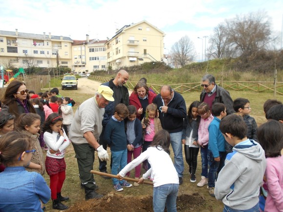 Plantações no Parque Urbano (3)
