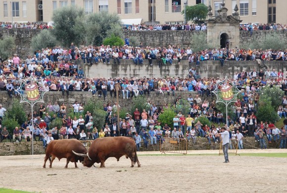 CabeceirasBasto-chegaBois