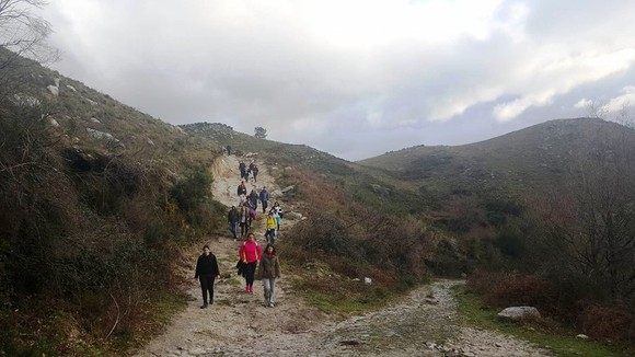 12007221_1242984812398247_450655570_n