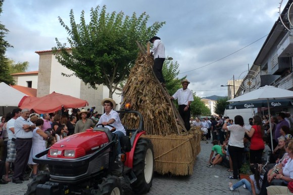 205921_453701678008224_770832562_n