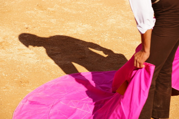 Foto do Portfólio da Menção Honrosa