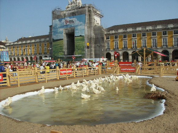 MegaPicNic Continente 008