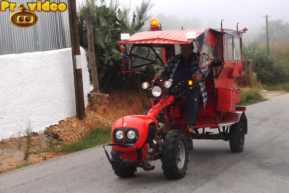 cavaca 12