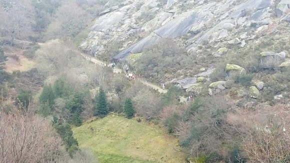 12336114_1242984602398268_1566330604_n