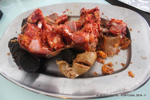 12654160_10201300732076331_5005528418762891775_n