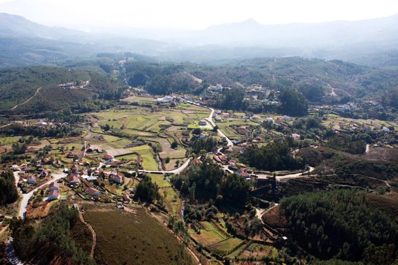 375022_214706528600449_100001833097992_541580_1755