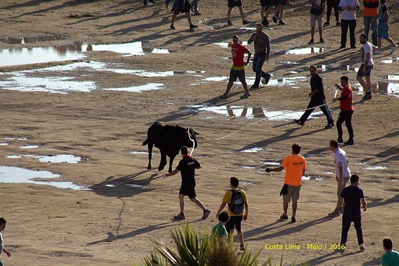 13310442_1191561494207548_2023111103476731373_n