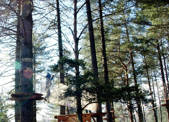 8 - P3243150 - Cópia