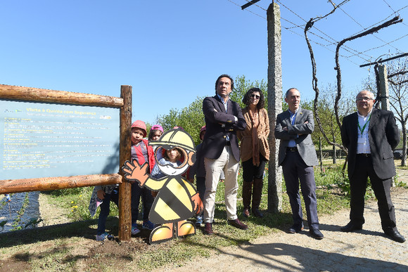 CMB28042016SERGIOFREITAS0000001896