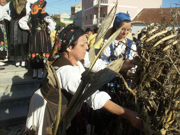 Desfolhada Verde Minho 031