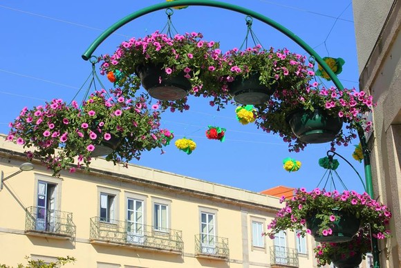 13119006_10209856153747055_414883333439626816_n