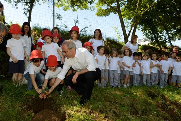Guimaraes_Mais_Floresta_Arvores