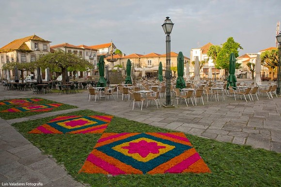 13256542_1023937300994132_6387612264097460769_n