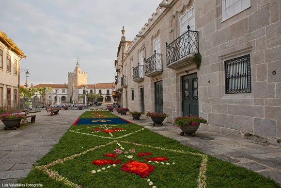 13315748_1023937434327452_8441088547755639601_n