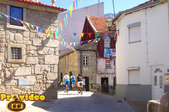 cavaca 19
