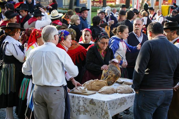 13100738_1248577065175030_8699351519593113304_n