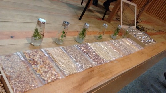 IMG_20151215_155439980