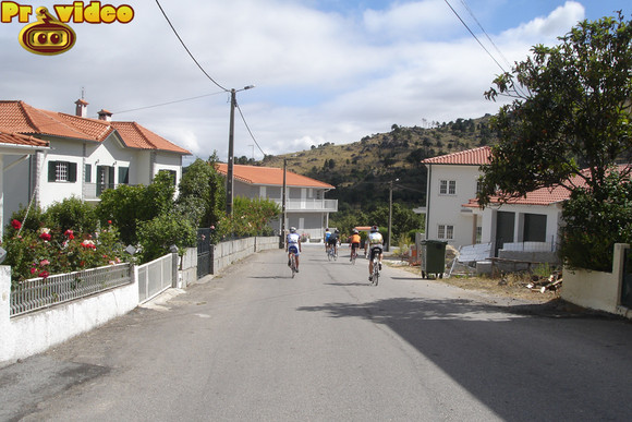cavaca 15